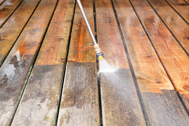 Best Pre-Holiday Cleaning  in Bucyrus, OH